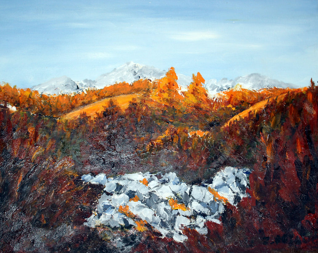 Zvonko Petanović Slavonski Brod